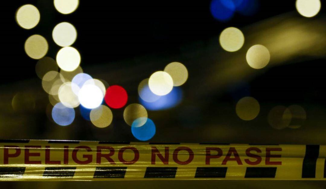 Imagen de referencia 