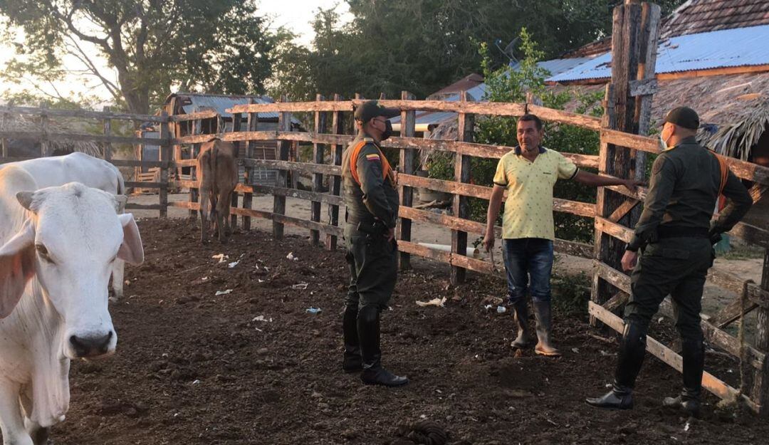 Abigeato en Bolívar ha disminuido en un 74%: Policía