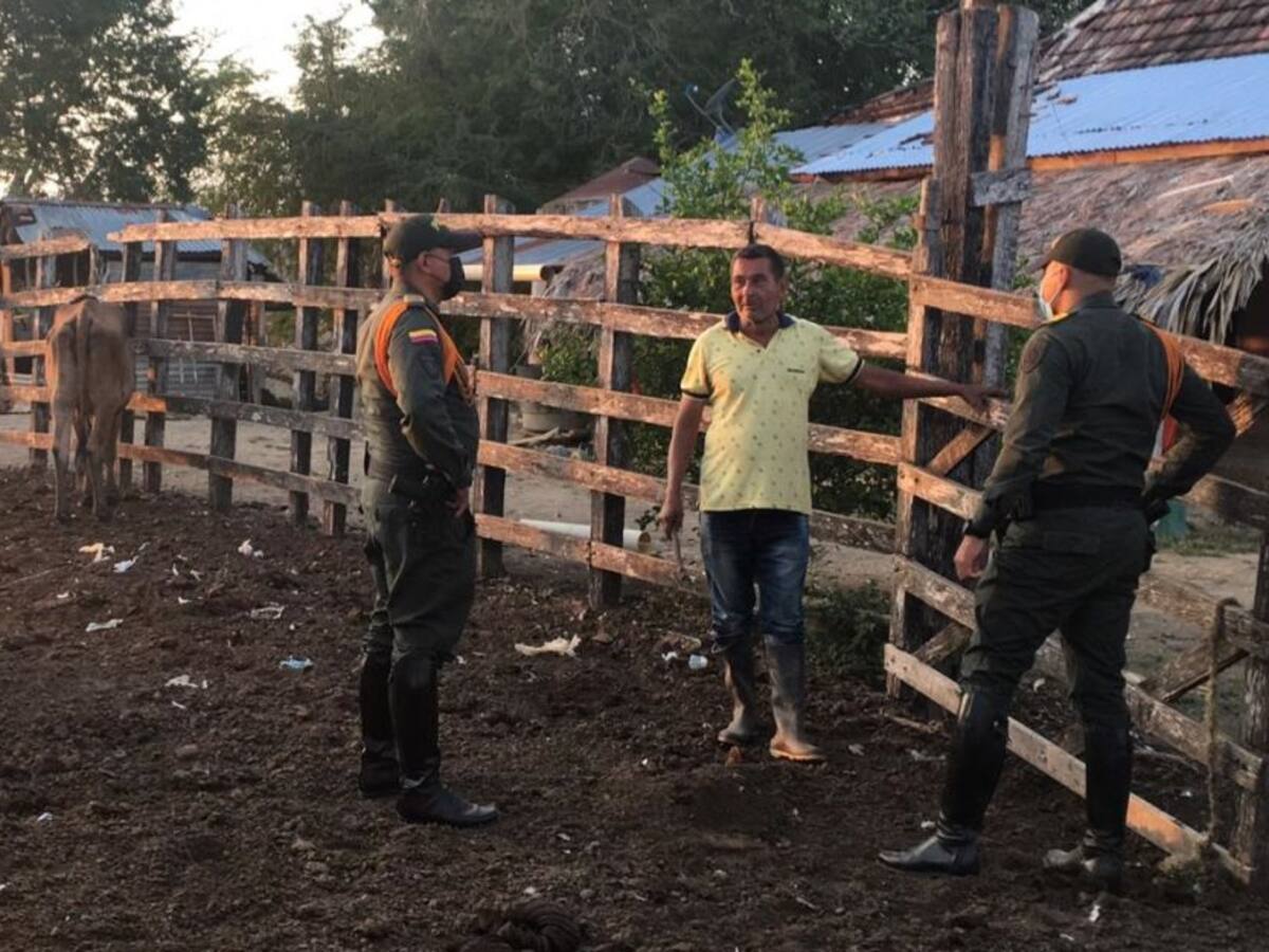 Abigeato en Bolívar ha disminuido en un 74%: Policía