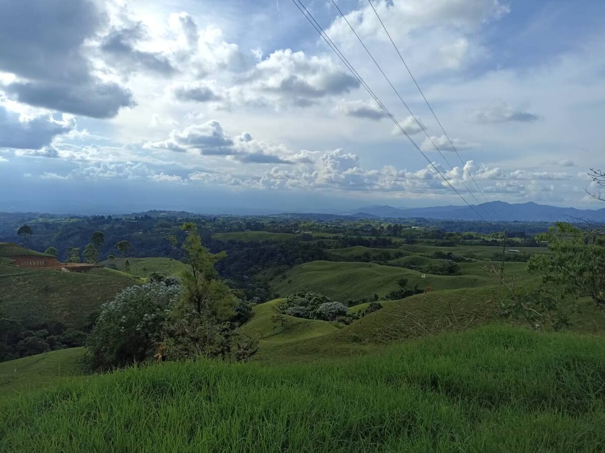 Martes 11 de abril, las noticias más importantes de Armenia y Quindío