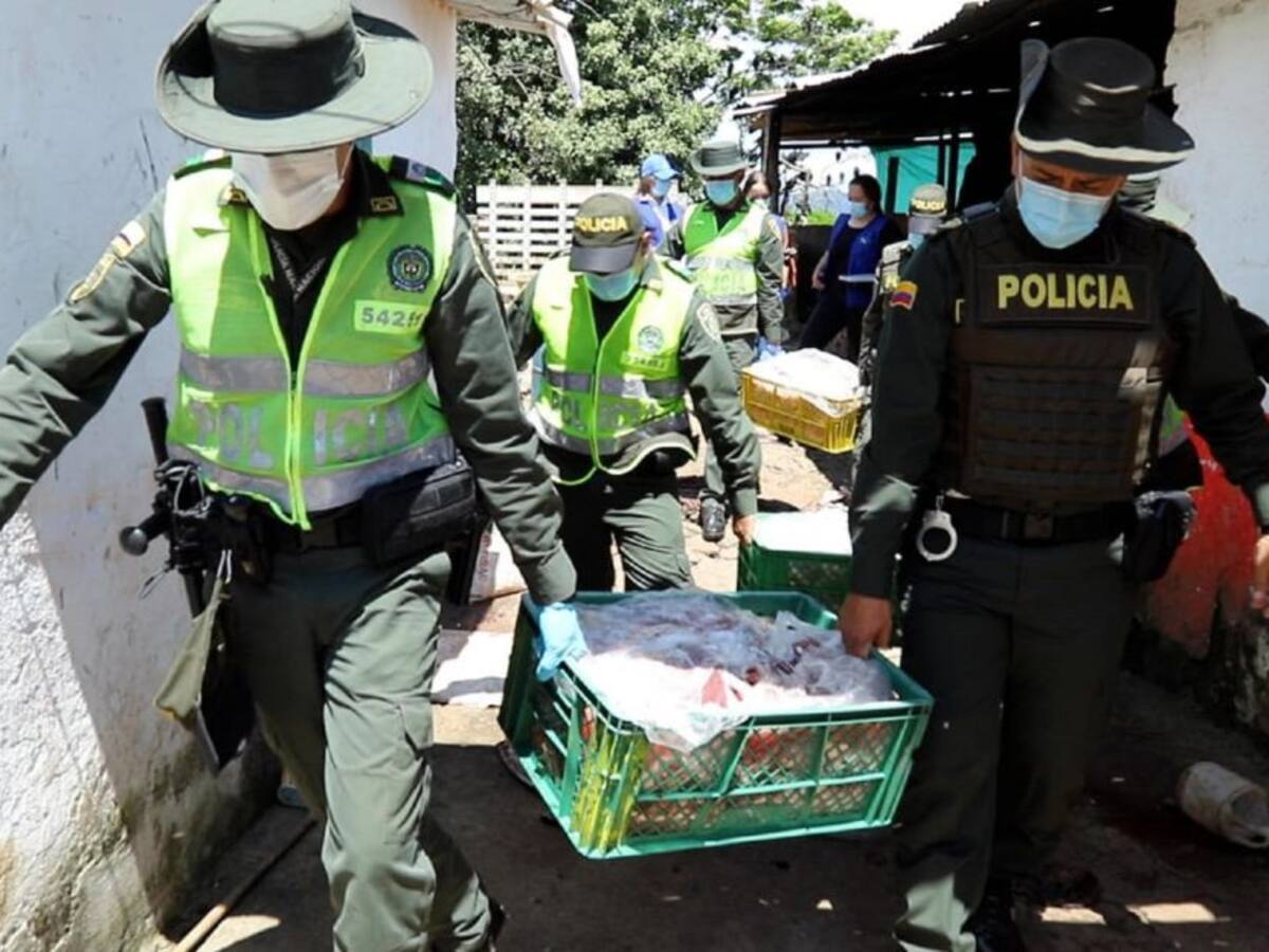 Incautan más de 600 kilos de carne de caballo y burro en Bucaramanga
