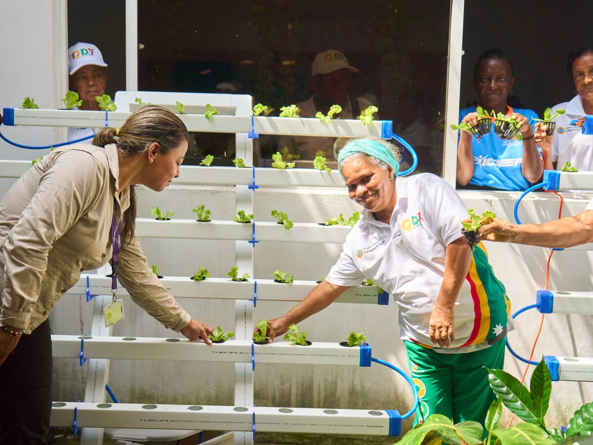 Ecopetrol fortalece el campo en Bolívar con proyectos de agricultura sostenible