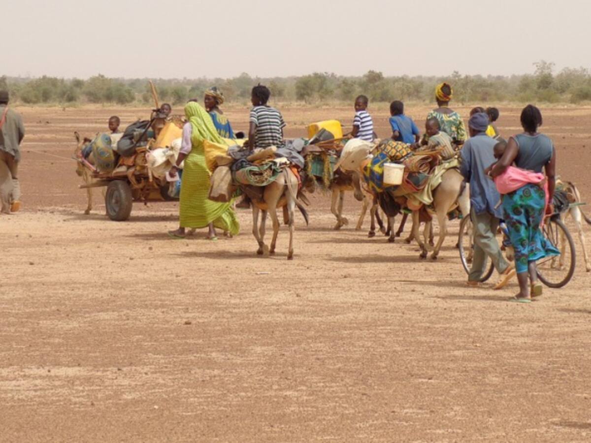 La historia de los emigrantes, parte 2