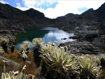 El páramo de Santurbán es una fuente hídrica fundamental en el Gran Santander. Foto: Archivo