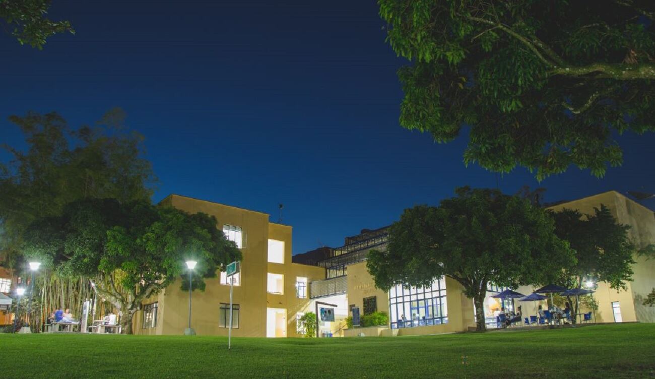 El 3 de noviembre se realizará la celebración del Día del Arroz