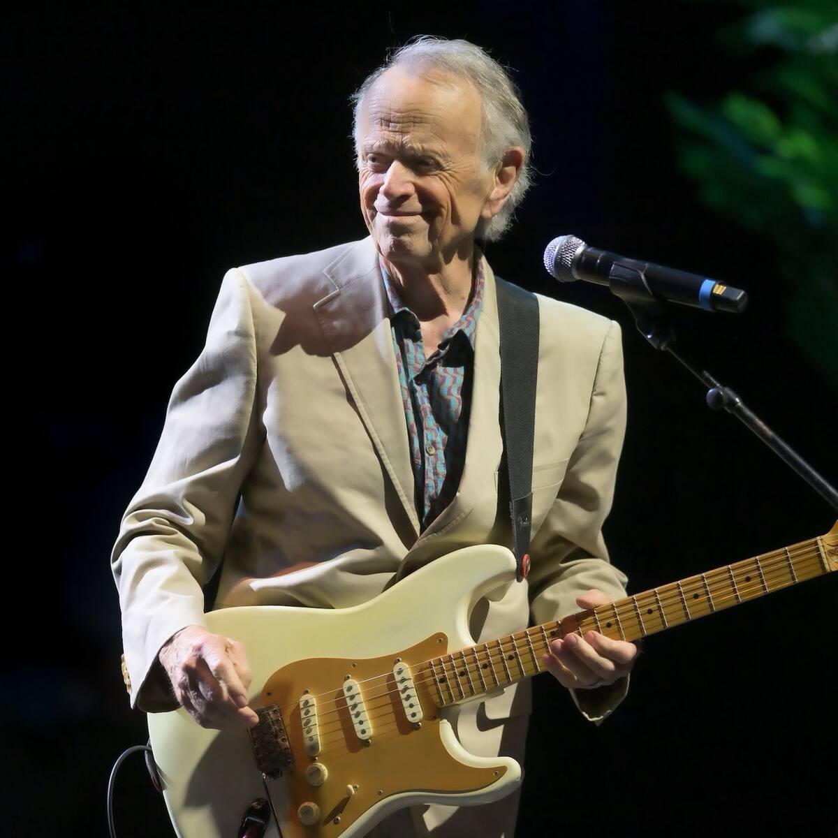 “Es completamente orgánico y maravilloso”, Al Jardine sobre sus conciertos con la Pet Sounds Band