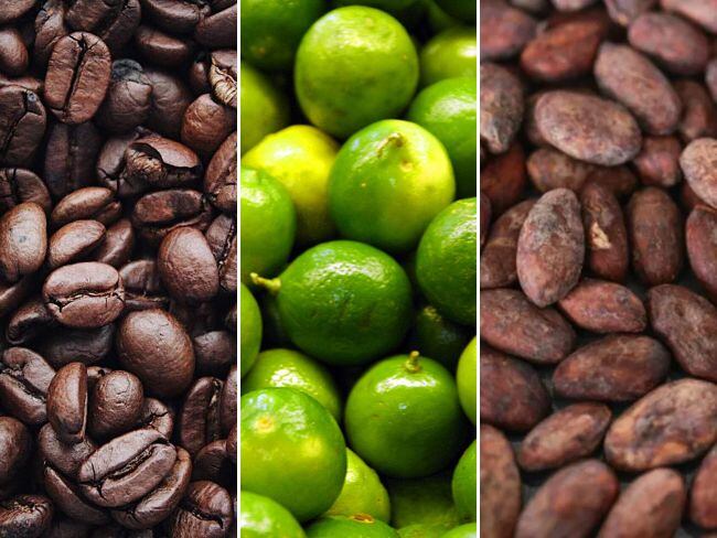 Exportaciones en Santander aumentaron más de 11% en lo corrido del 2024.