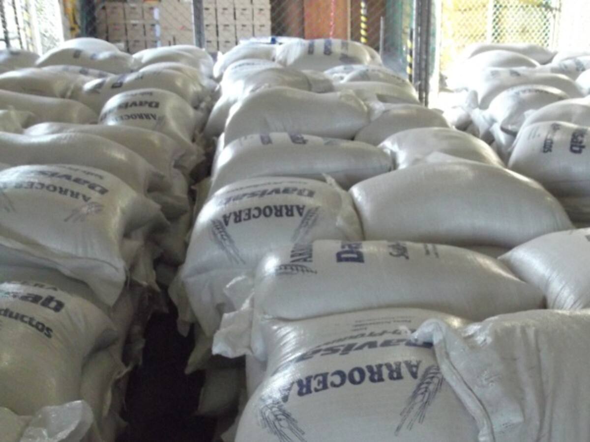 Arroceros del país en alerta por importaciones de Ecuador