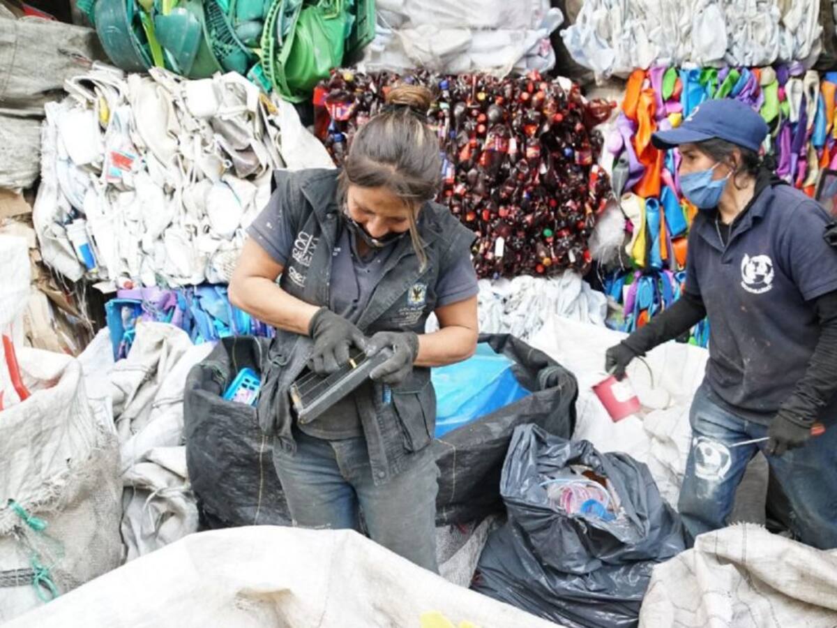 En un 50% aumenta reciclaje de cartón en Neiva