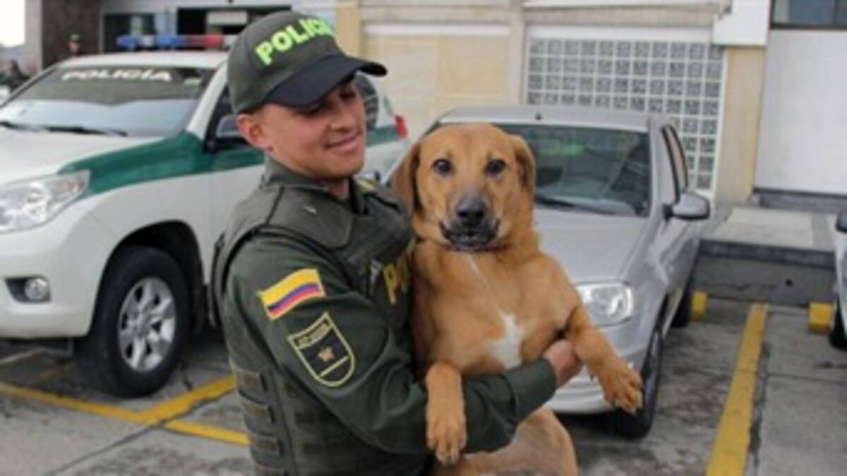 Jhonny Cabuya, el héroe de Juana Amarillo y de los animalistas