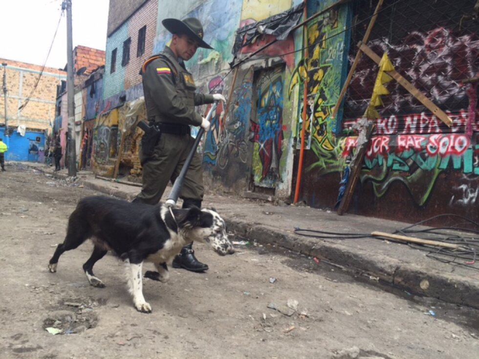 Policía con perro en condición de calle. Imagen de referencia,