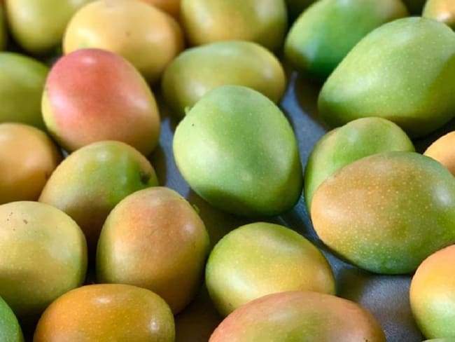 El mango, una fruta muy rica en nutrientes