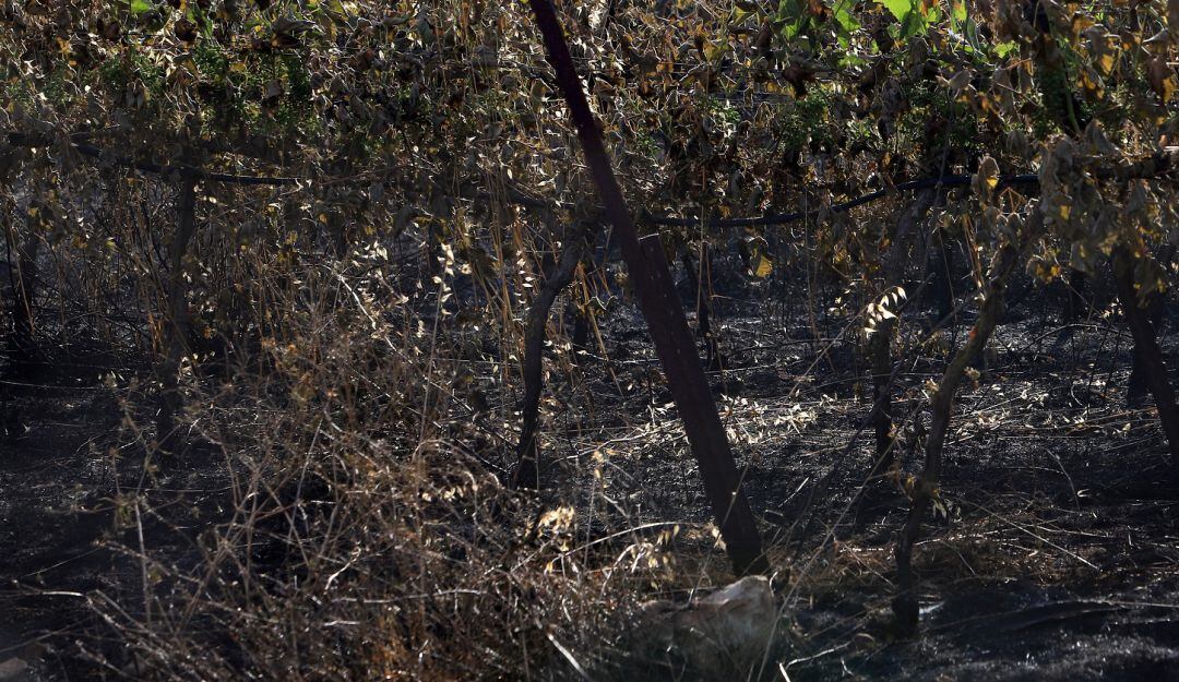 Daños al suelo. Foto de referencia