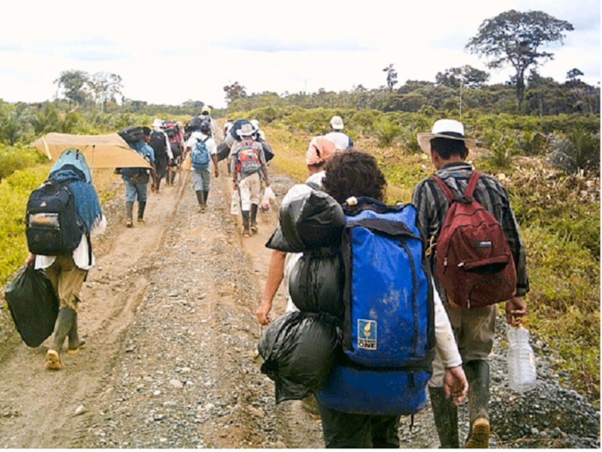 Ya se reportaron las primeras personas desplazadas de Remedios por combates entre ilegales