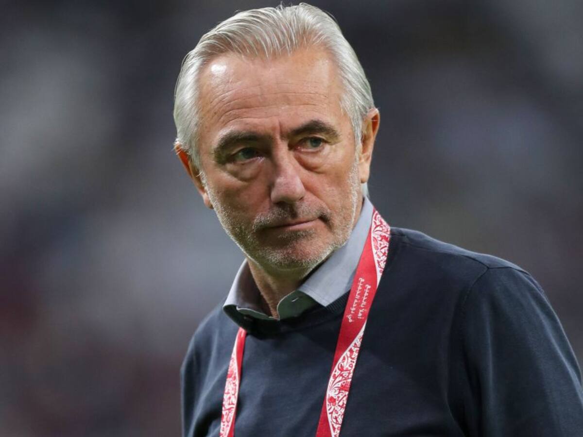 Bert van Marwijk reemplazará a Jorge Luis Pinto en los Emiratos Árabes