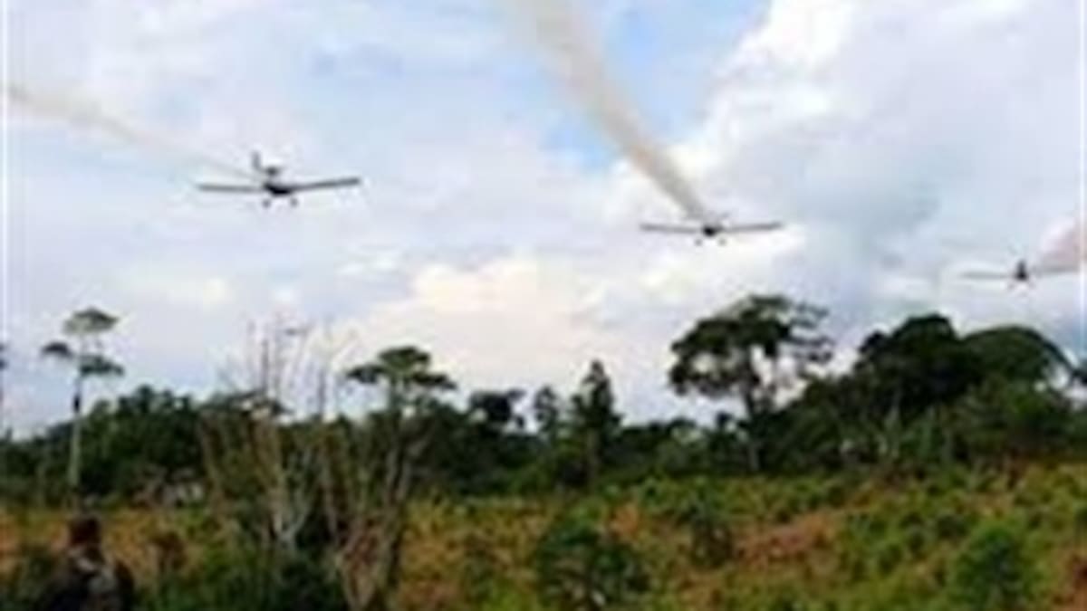 Preocupación en Nariño por reinicio de fumigaciones aéreas