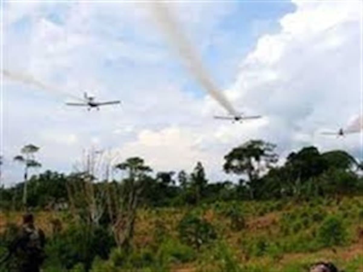 Preocupación en Nariño por reinicio de fumigaciones aéreas