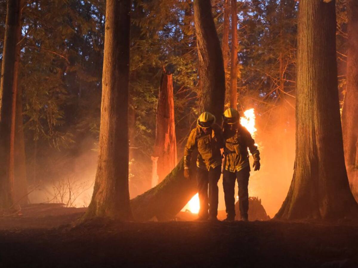 Temperaturas extremas, incendios e inundaciones en EE.UU.
