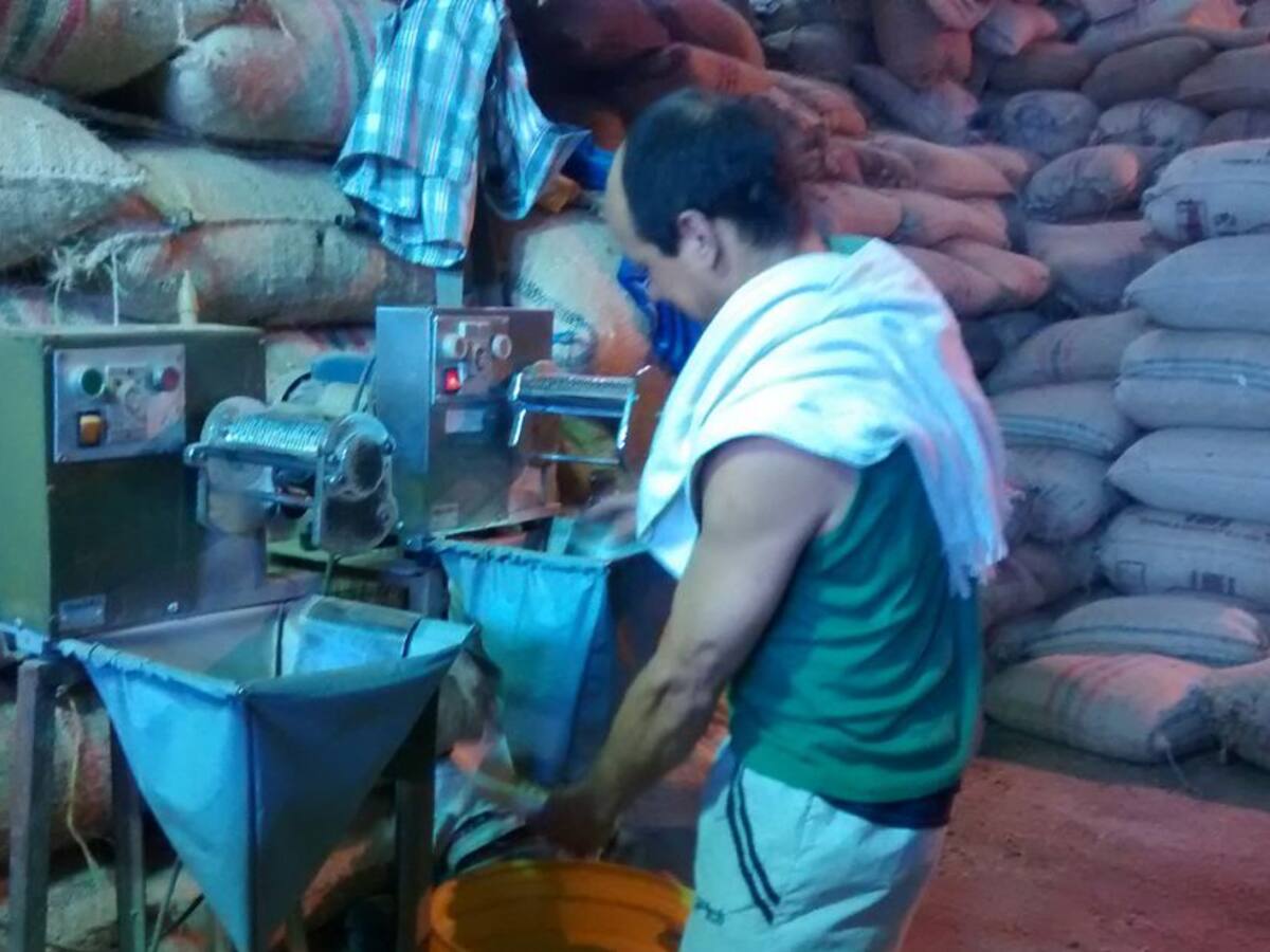 Producción de café en Colombia se mantiene pero caen las exportaciones