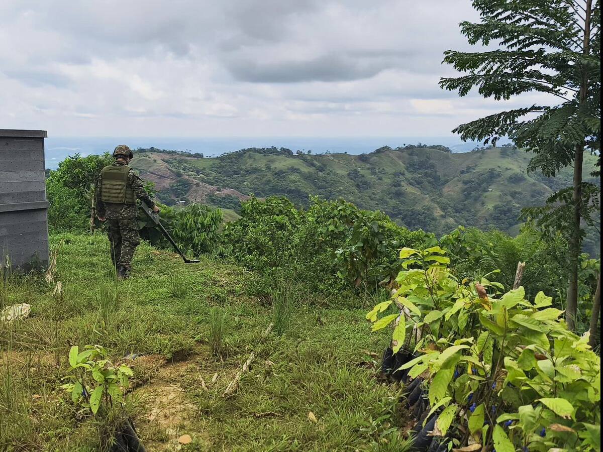 Alarma en Valdivia por riesgo de minas antipersonal tras nuevos combates entre el ELN y el Ejército
