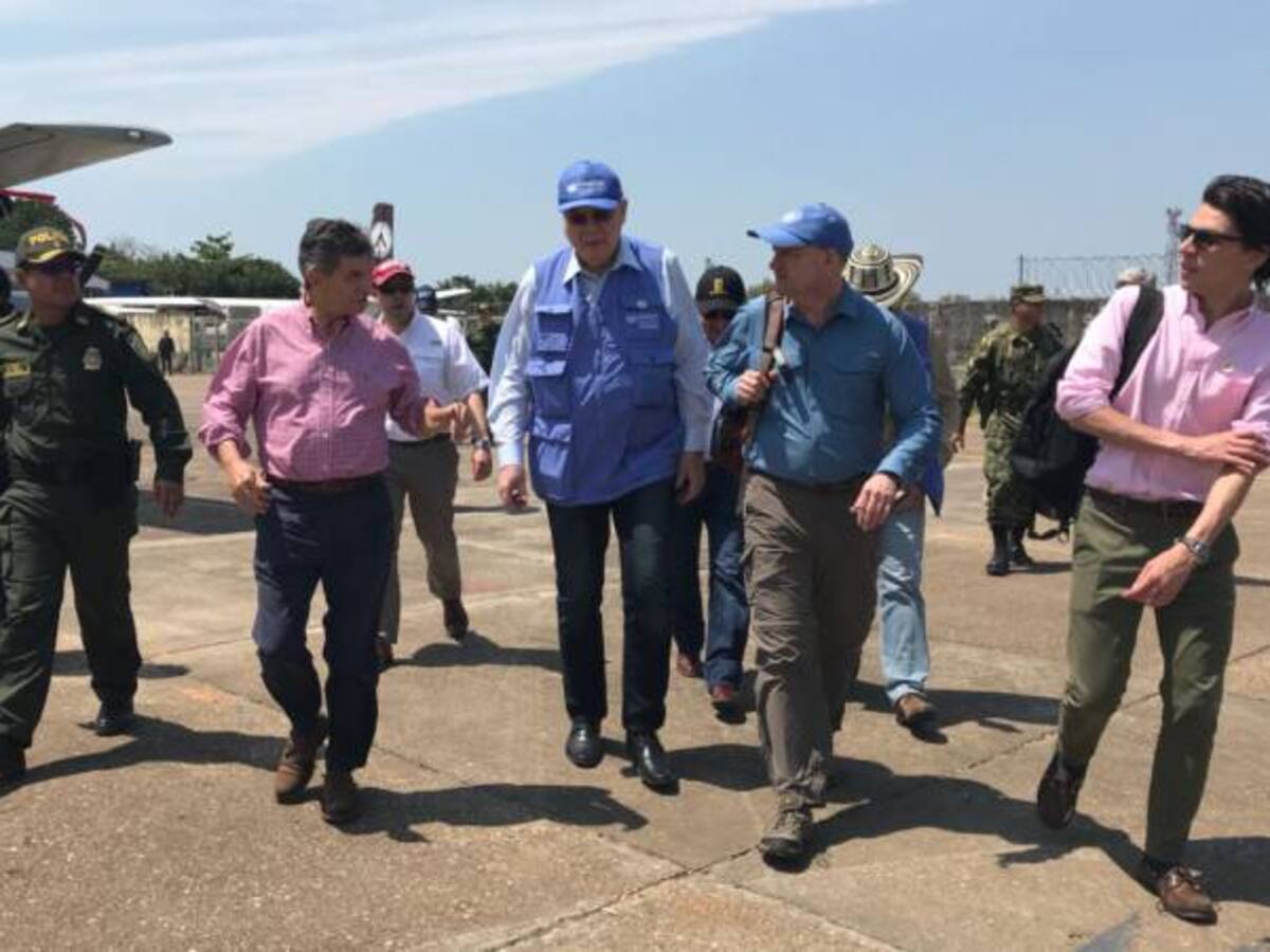 El Gobierno anuncia plan de sustitución de cultivos con mayor seguridad