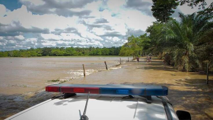 Comerciantes reportan 35% en pérdidas de cultivos por lluvias