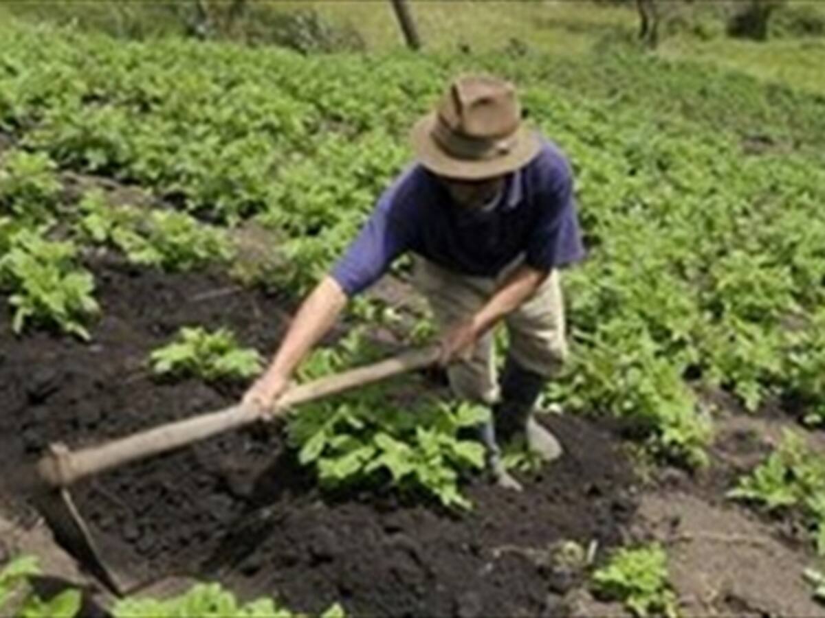 Menores habrían consumido marihuana y alcohol previo a la intoxicación