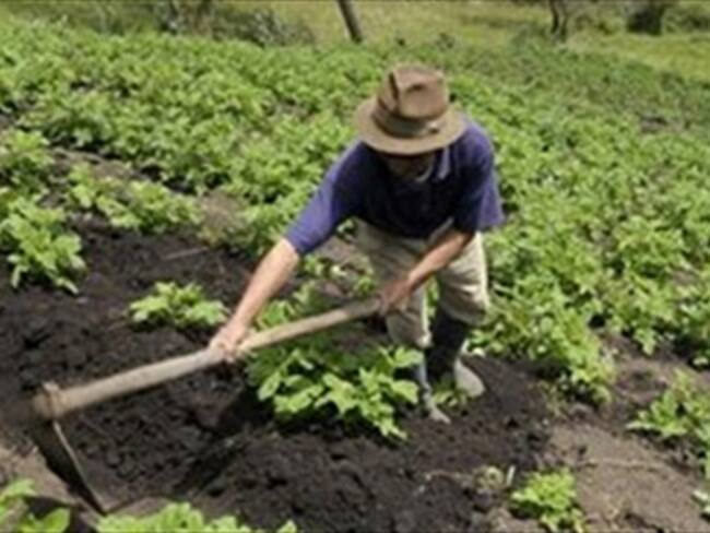 Menores habrían consumido marihuana y alcohol previo a la intoxicación