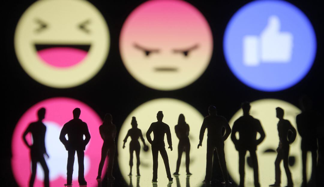 Imagen de referencia