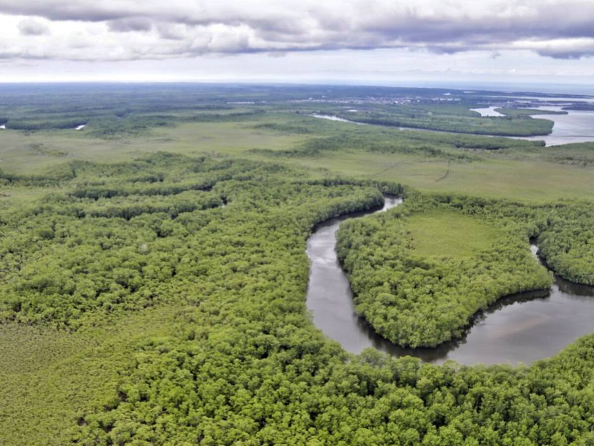 Ejército confirma hallazgo de fosas comunes en Nariño