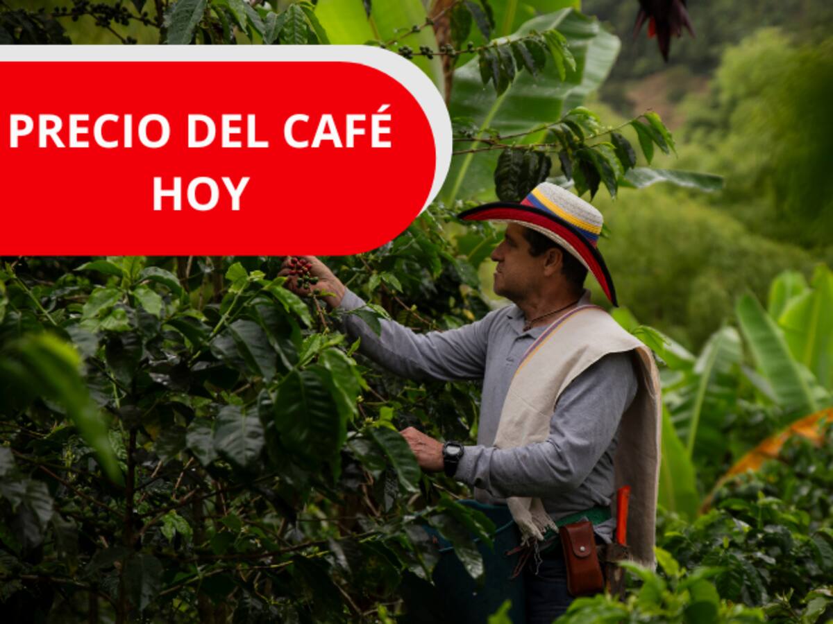 Precio del Café en Colombia para HOY, 6 de febrero, según FNC: reportan nueva disminución