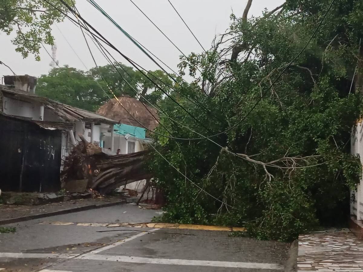 Tormenta generó afectaciones en servicio de energía en el norte y centro de Bolívar