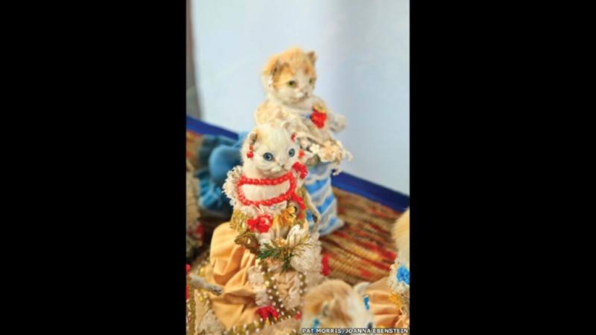 El Museo de las Curiosidades de Potter fue clausurado y, en septiembre de 2003, su colección de 6.000 animales disecados fue vendida por la casa de subastas Bonhams.