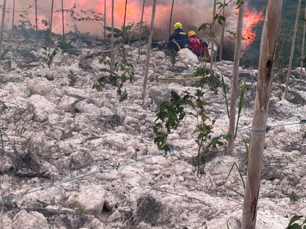 Incendio forestal mantiene en alerta a Ocaña, Norte de Santander
