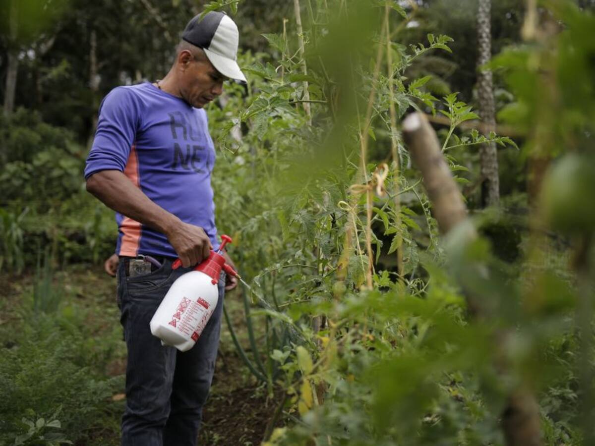 Campesinos no paran, en medio de la pandemia del coronavirus