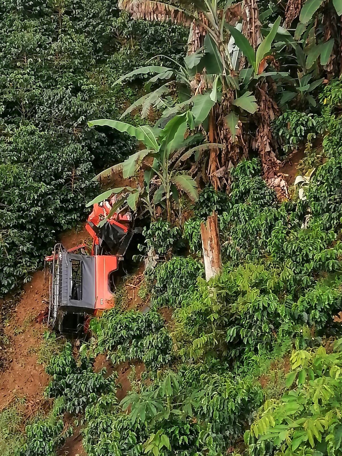 Carro rodó por un cafetal en Salgar, Antioquia- foto cortesía