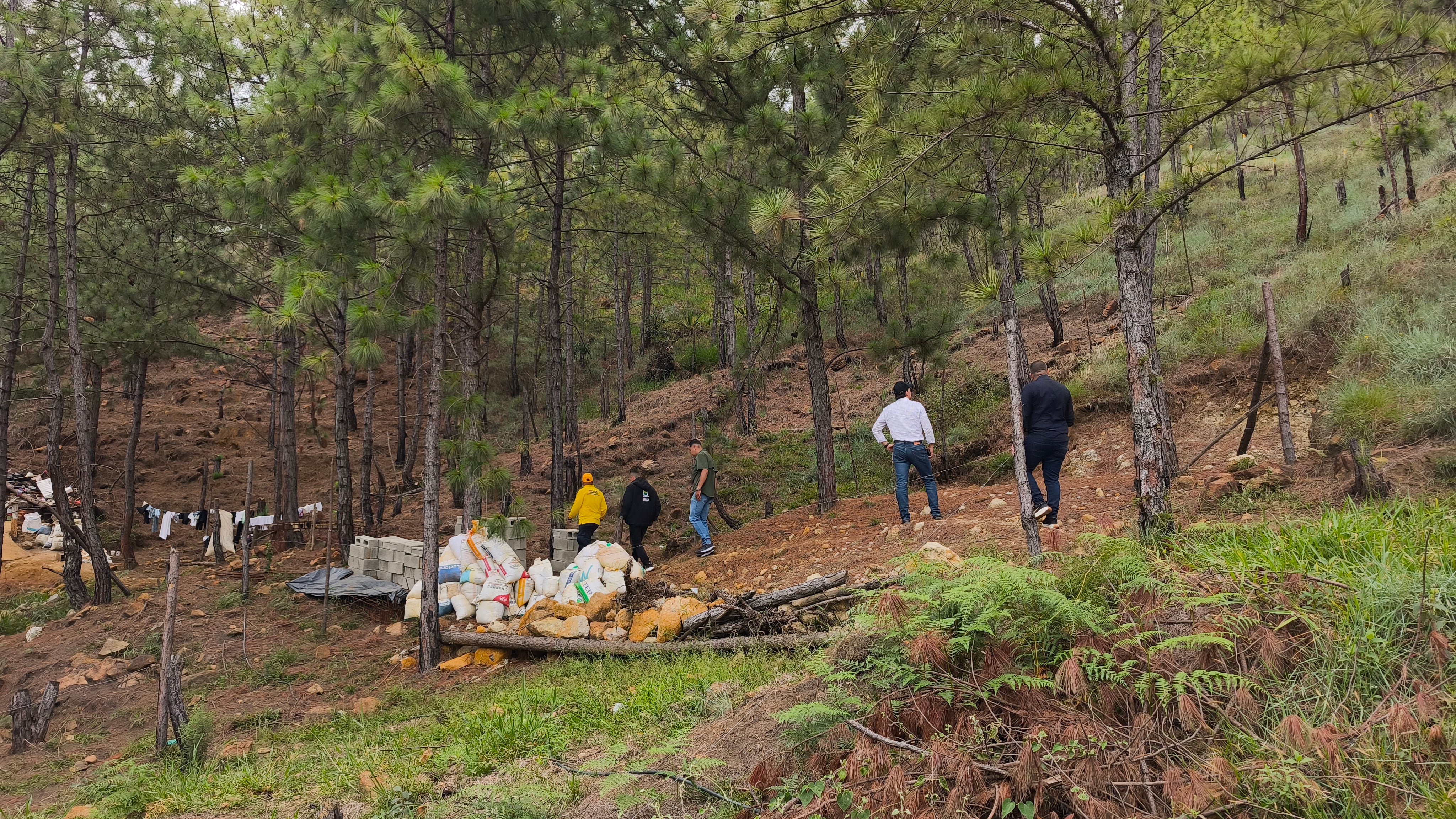 Monitoreo y control en el Cerro Quitasol en Bello. Foto: Cortesía Alcaldía de Bello