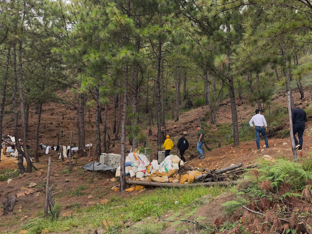 Bello despliega campaña y operativos contra la venta ilegal de terrenos en el Cerro Quitasol