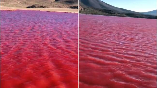 Capturas tomadas de redes sociales.