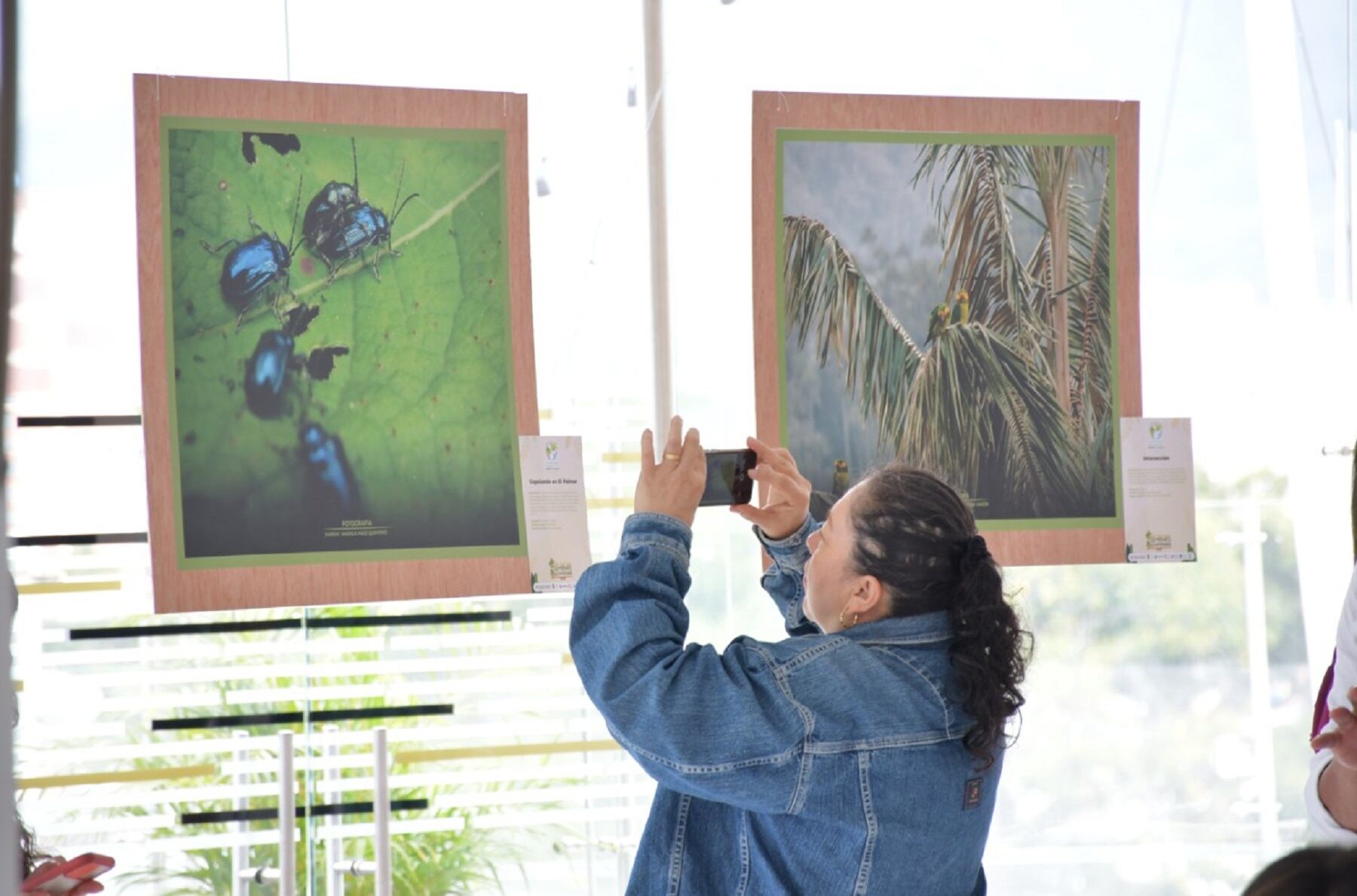 Es una plataforma donde se podrán encontrar todas las especies del del departamento en fauna y flora