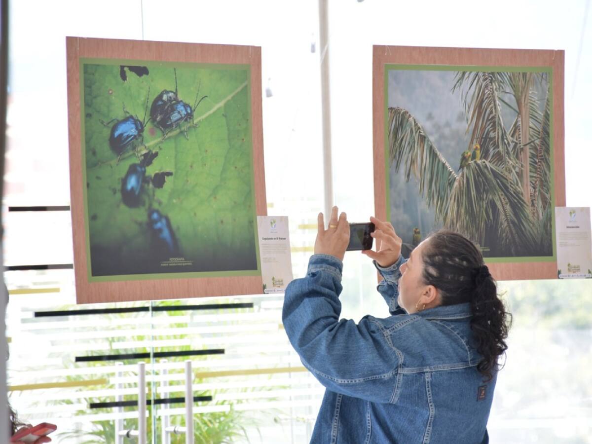 Cortolima abre plataforma digital para conocer la biodiversidad del Tolima