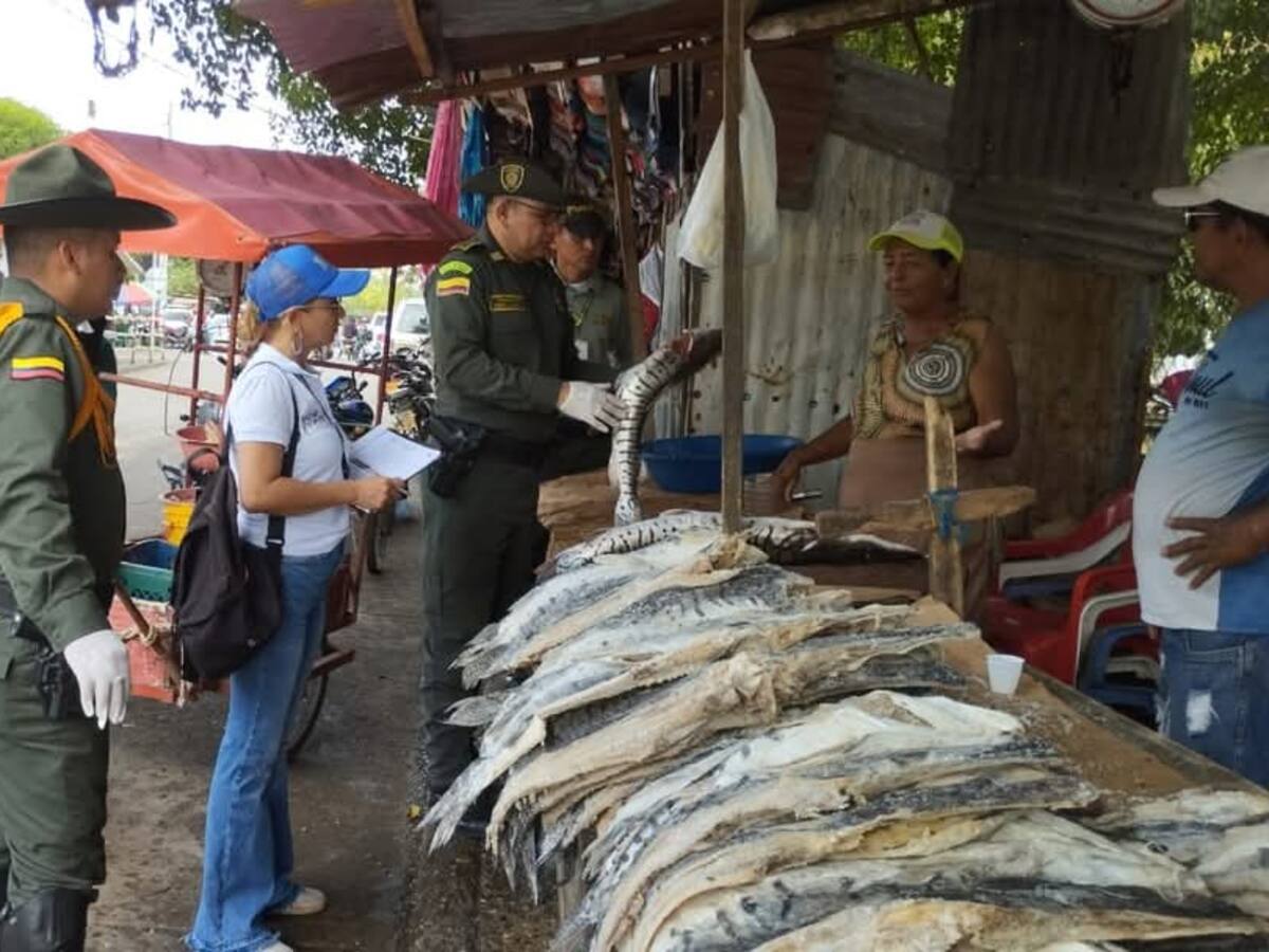 Policía realizó controles a ventas de pescados en Magangué