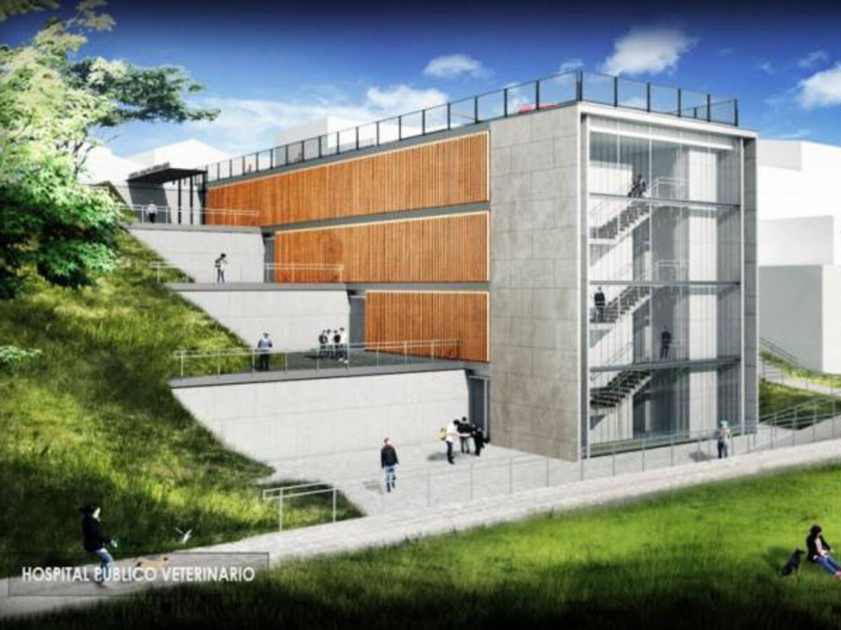 Se construirá hospital para mascotas, pero sin recursos para administrarlo
