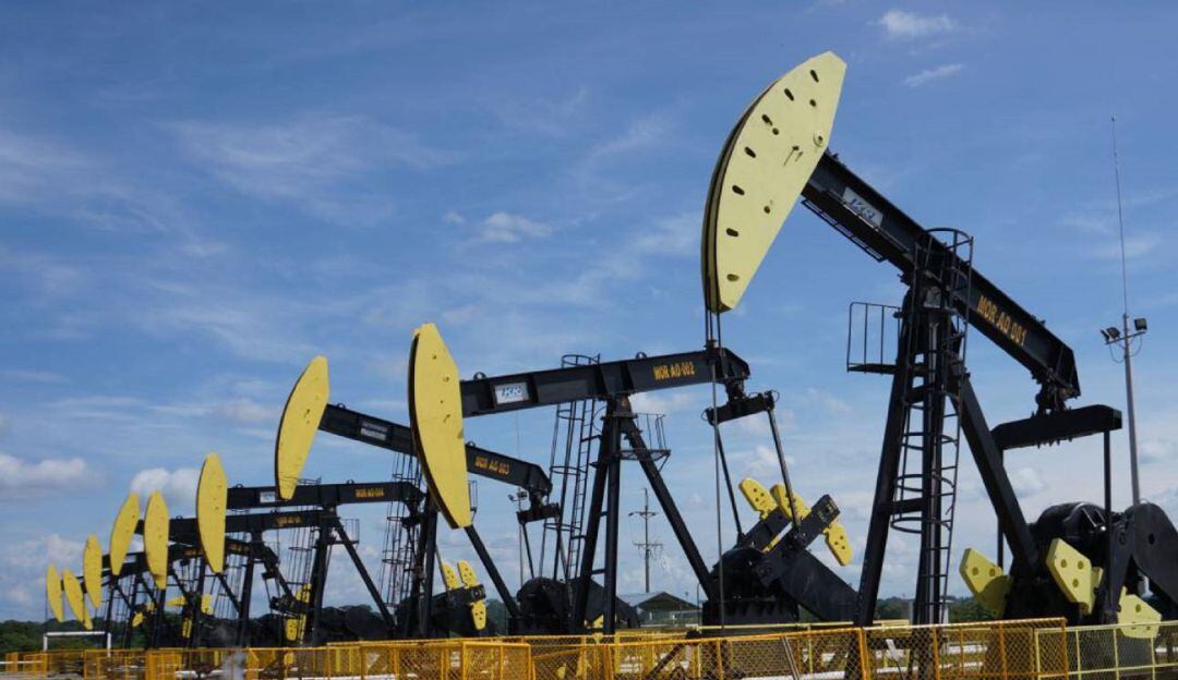 Imagen de referencia.