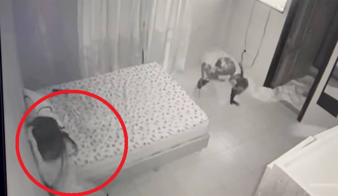 Captura - supuesto ataque paranormal a mujer embarazada