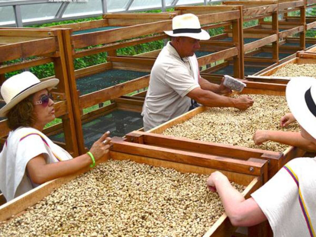 Finca del Café: Paisaje y refugio, historia y cultura, aroma y sabor... Todo bajo el mismo cielo
