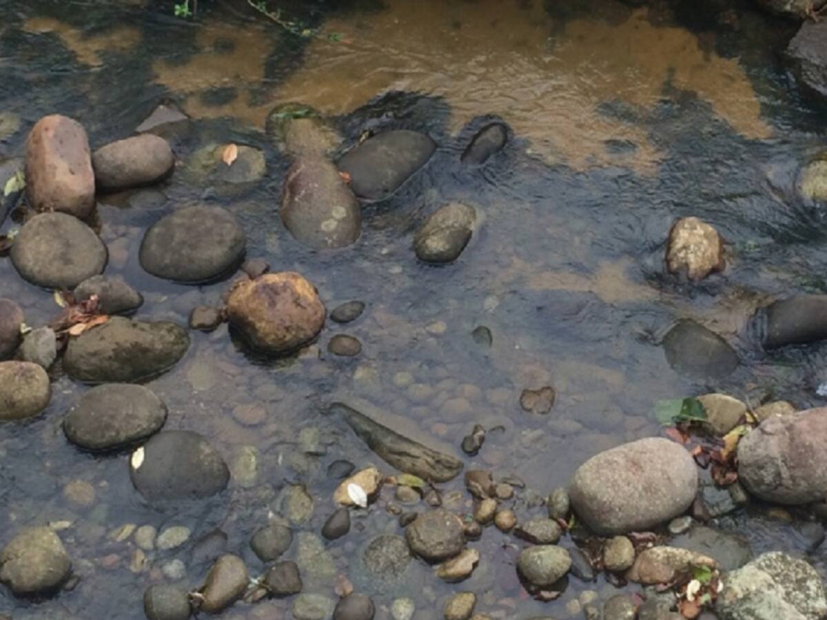 Ambientalistas en el Catatumbo alertan por daño en derrames de crudo