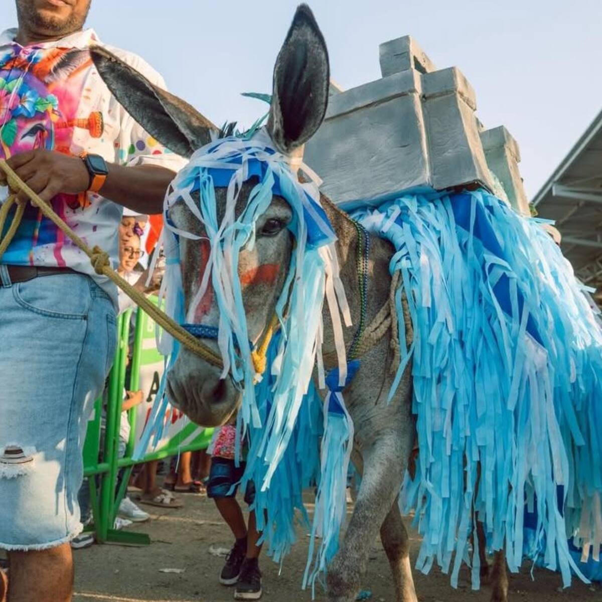 Festival del Burro 2026: el cambio climático se impuso en el evento que premió el ingenio en Córdoba