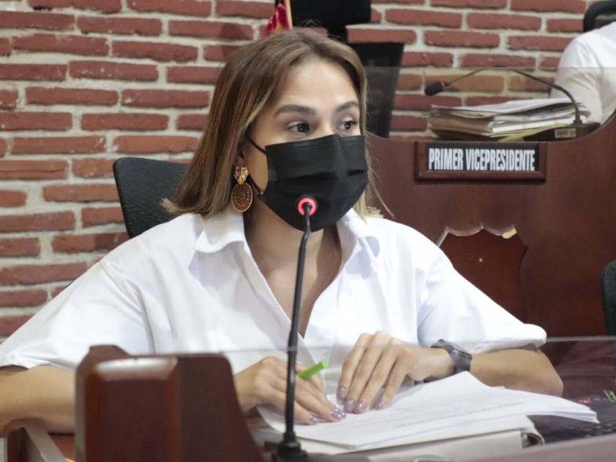 Concejo solicitó claridad en cifras de contratación del IDER, IPCC y EPA