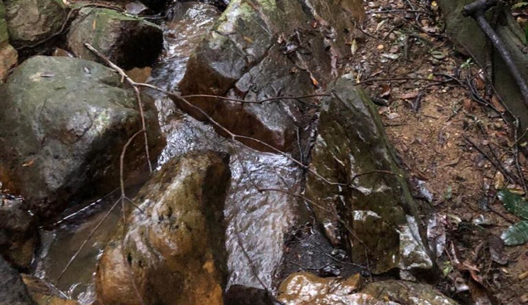 La causa del hecho es materia de investigación. 